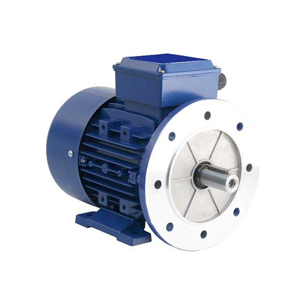 3 HP Flange Motor Three Phase