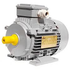 Best Electric Motors Company In India