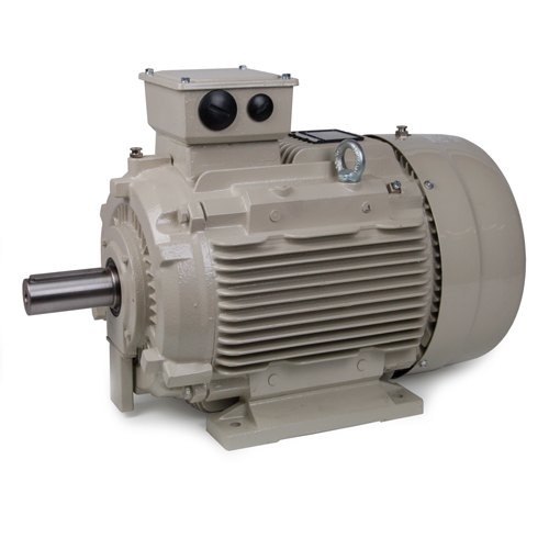 Best Electric Motors Company In India